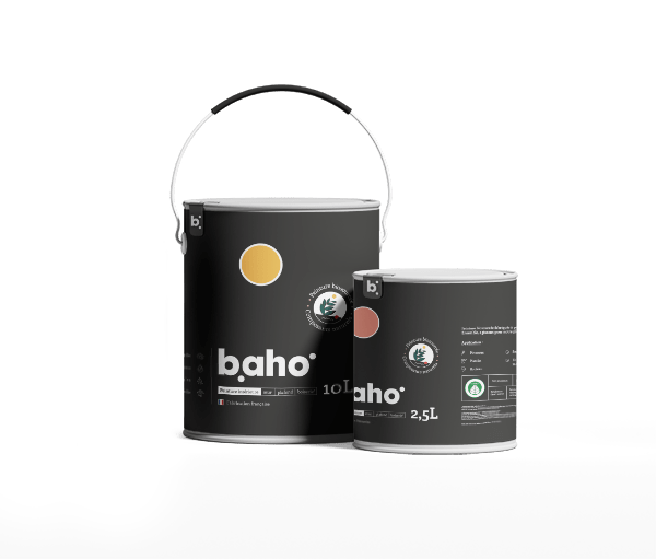 Packaging-peinture-baho